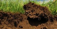 Газогеохимические исследования Газогеохимические исследования